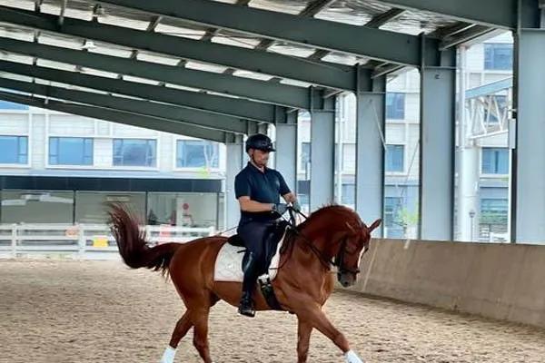 Steel Structure Horse Arena Shed