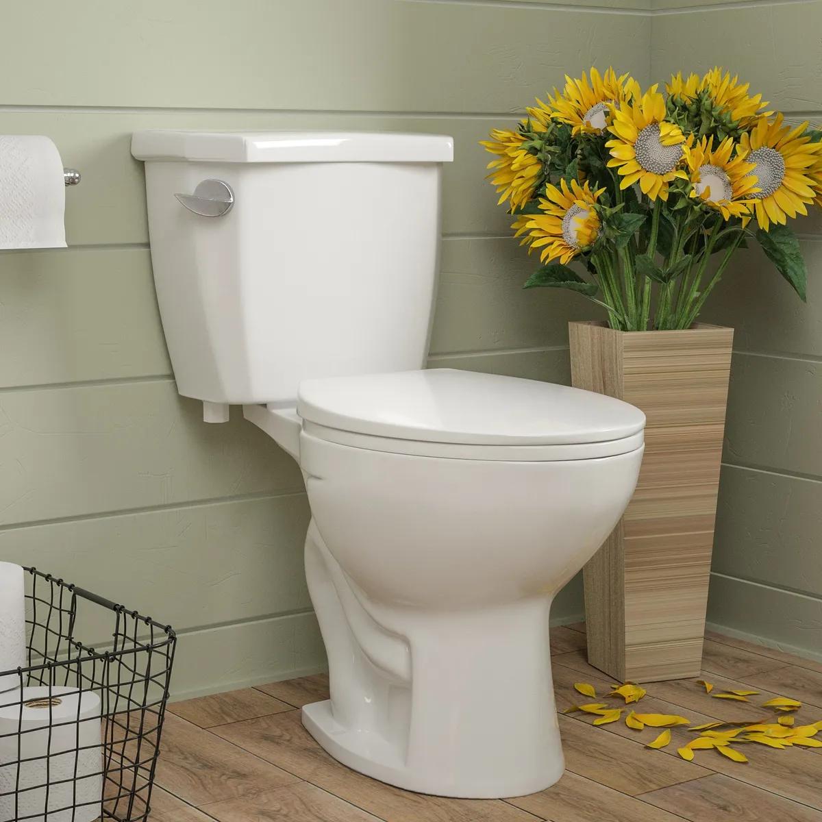 DV-2F52531 Two-Piece Elongated Toilet with Quiet-Close Seat