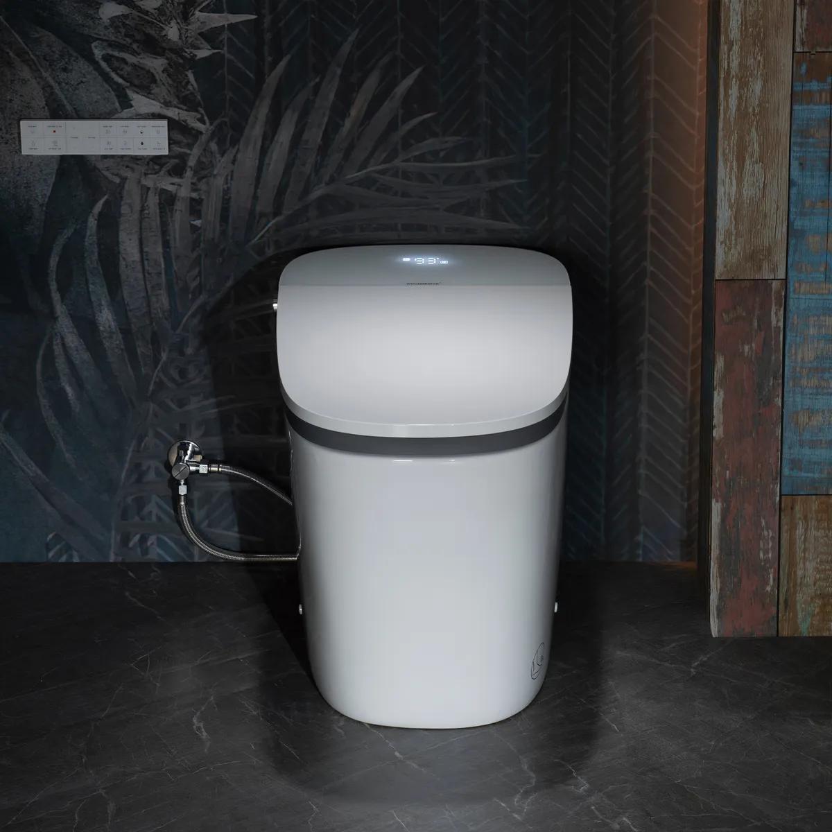 B0910 One-Piece Dual Flush Toilet