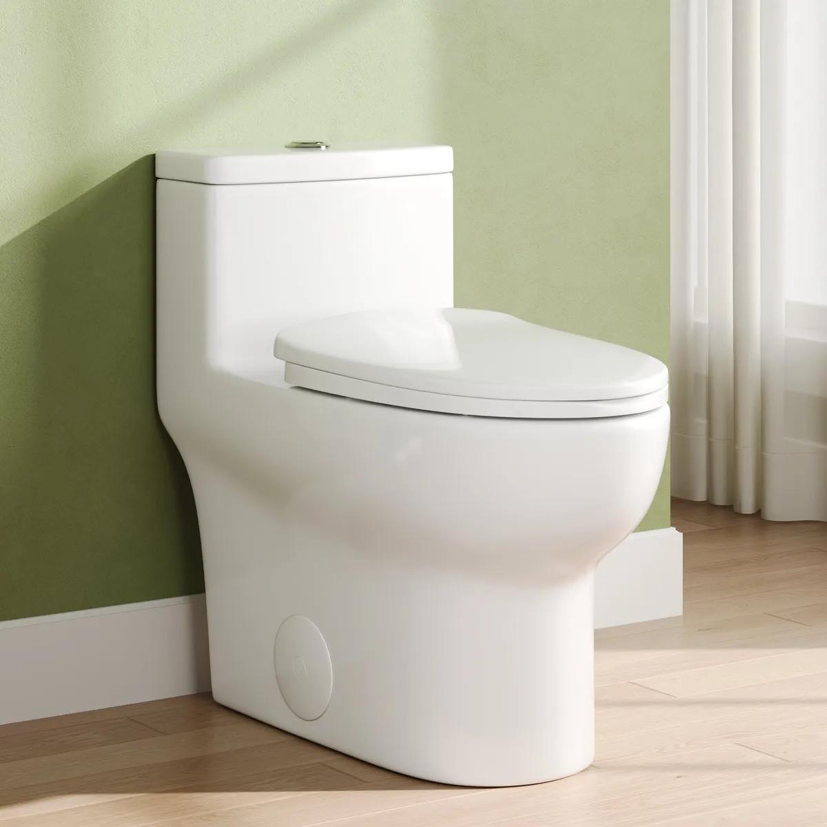 DV-1F026 Ally Dual Flush Elongated One-Piece Standard-Size Toilet (Seat Included)