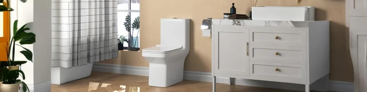 DV-1F52636 One-Piece Toilet with 800g Powerful Flush