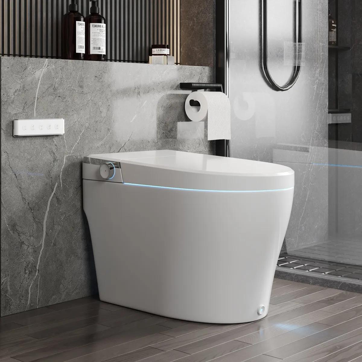 DV-1S0029-V3 Smart Bidet Toilet with Purified Water Massage Wash