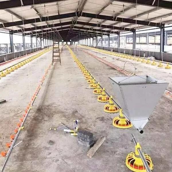 Steel Structure Poultry Farm Building