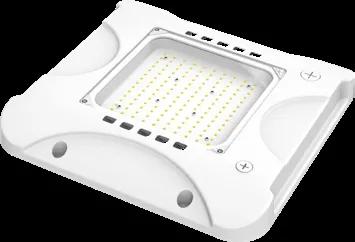 LED Canopy Gas Station Light — NG-CGS