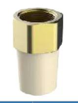 CPVC ASTM D2846 Female Adapter (Brass Insert) B — 1/2" to 2"