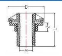 PVC-U BSP Thread Backnut — 1/2" to 3"