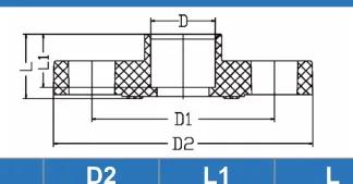 CPVC ASTM D2846 Flange