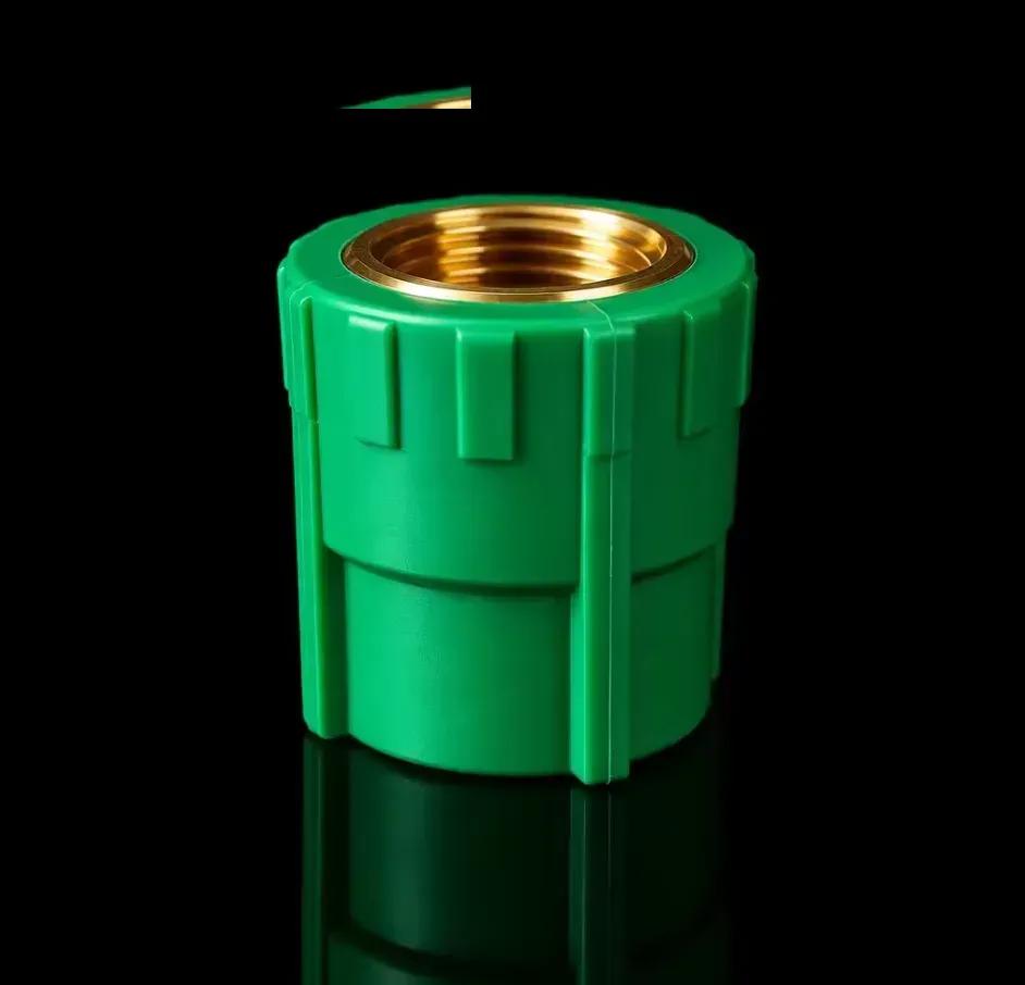 Female Socket (Stainless Steel) — S25×1/2F